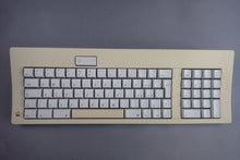 Lade das Bild in den Galerie-Viewer, Apple Macintosh SE mit Radius Accelerator 16

