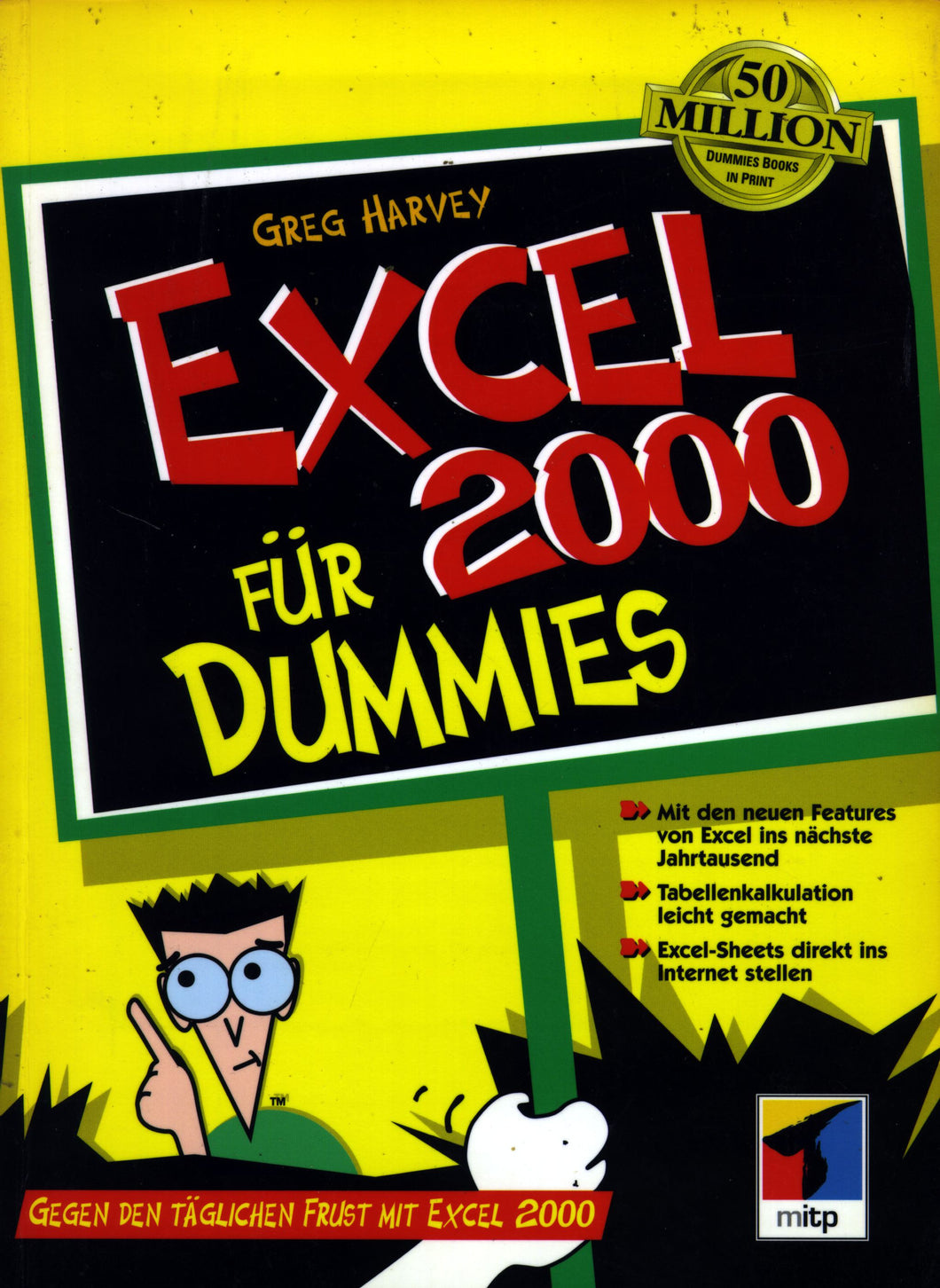 Excel 2000 für Dummies